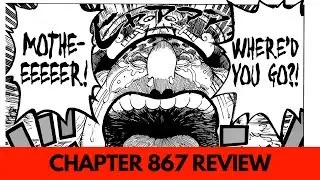 One Piece Manga Chapter 867