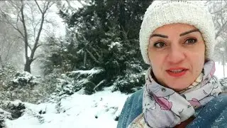 ВЛОГ: О Блоггерстве и Кризисе Среднего Возраста 