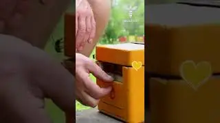 The best time to select and breed your queens