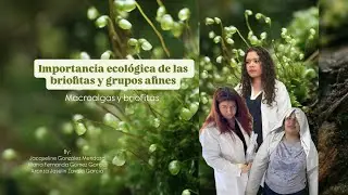 Importancia ecol&oacute;gica de las briofitas y grupos afines - Macroalgas y briofitas 🌱