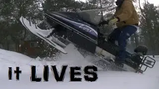 The Lynx lives