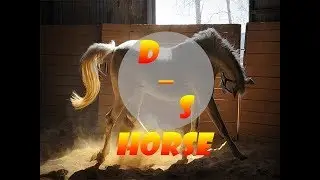 DJ_SVET - Horse | Drum And Bass