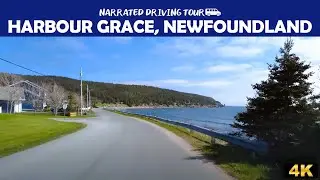 🚗 Scenic Drive Through Harbour Grace 🇨🇦 | Historic Newfoundland in 4K 🏘️🌊