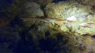 Aruba Night 4 - Diving