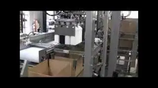 Switchback Group CP-4V Robotic Top Load RSC Case Packer