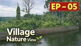 Village Nature 🌱 | Calm Village Views | EP-05