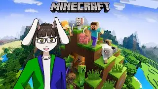 Java Minecraft E11