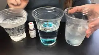 Molecules Move