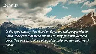 1Samuel 30 - David Avenges the Destruction of Ziklag