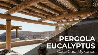 Eucalyptus Pergola Casa Gaia Mykonos assiourasbros
