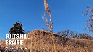 Fults Hill Prairie Nature Preserve - The best hiking trails near St. Louis, MO   #exploringmissouri
