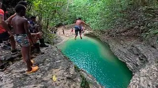 Naturaleza Pura: Bosque. Chapuzon en el Rio y Cascada