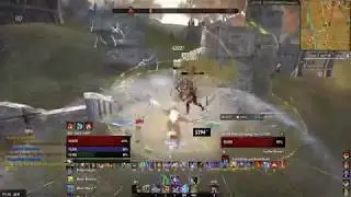 Eso Ace Stam Sorc Nerfmire