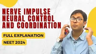 Nerve Impulse - Neural Control & Coordination - Dr. Rajeev Ranjan | NEET 2024