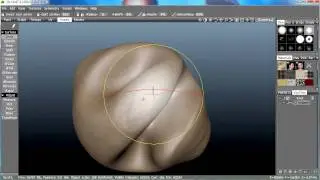 Multi-res sculpting in 3D-Coat