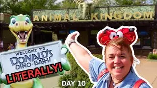 Day 10 in Orlando: Disney Springs Tips + Animal Kingdom Closures!