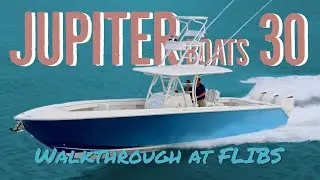 Jupiter 30 - Walkthrough
