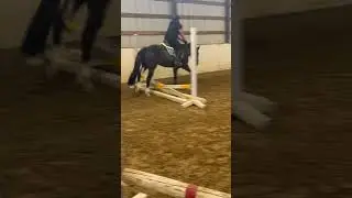 Lesson tomorrow #horse #equestrian