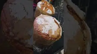 Panettone.