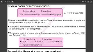 Protein synthesis - Translation | Std. XII | Biology | Lesson 4 | Molecular basis of inheritance