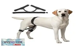 VEVOR Dog Hip Support Brace Breathable & Durable Support Brace for Dogs