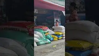 #shorts Rice market Philippines #philippines #footage #countryside #asia #rice