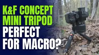 A Perfect Tripod For Macro? K&F Concept Desktop Mini Tripod Review