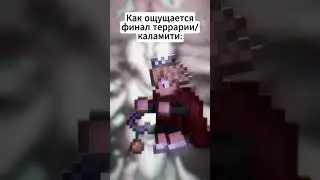 Финал Террарии: #terraria #террария #юмор #мемы #анимация #animation