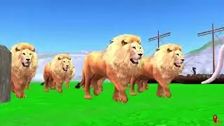 Story of the Devil Tiger 