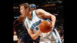 Darius Songaila-Hornets