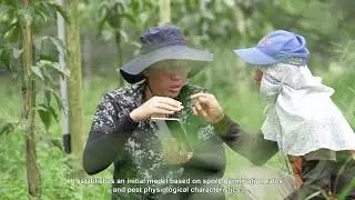 Smart ICM Crop Protection with AI Pest & Disease Alerts