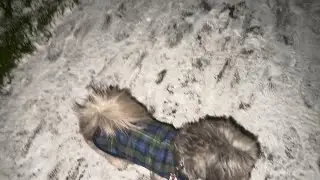 Calming Winter Walks 