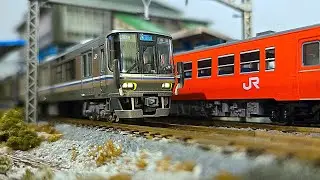 JR 223 series Special Rapid Service train, JR KiHa 48 series. N scale compositions pairings runs etc