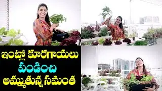 Akkineni Samanatha House Organic Farming | Akkineni Samanatha latest video | Fata Fut News