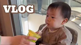 VLOG 도하의 일상, 여섯번째 (14개월 아기, 소동물원, 아기랑 카페)