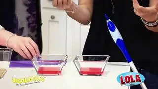 Wowables Absorbency Test