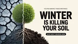 @AGRIKNOWLEDGEHUB Натуральные зимние улучшители почвы, подготавливающие землю к весне. (Структура...