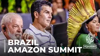 Amazon nations launch alliance to protect rainforest at key summit