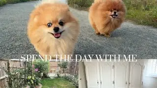 SPEND THE DAY WITH ME | dog walks, gardening + wardrobe painting 