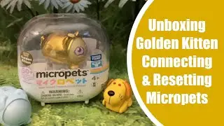 Интерактивные игрушки 2026 Moose Toys Micropets: распаковка золотого котенка и двух соединенных м...