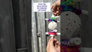 1115 Sola Stickler M&M Bird Toys Shortie 4k