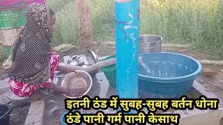 इतनी ठंड में सुबह-सुबह बर्तन धोना और घर का सारा काम करना