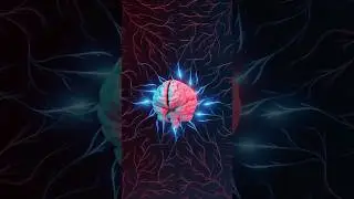 🌊 Ride the Brain Waves: The Secret Frequencies of Your Mind