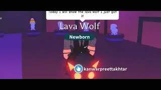 SHOWING LAVA WOLF! // Kaz gaming adopt me