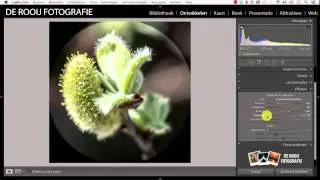 Adobe Lightroom Tutorial - Fotobewerking van Cursist (1)
