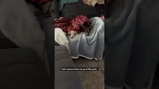 Папа дома!
