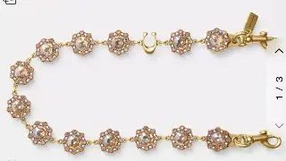 Coach Short Jewelry Chain Strap