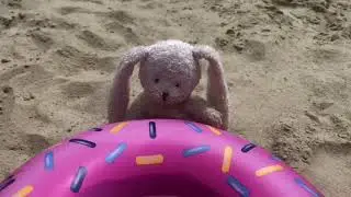 Hase 🐰 Und seine Freundin im Schwimmbad