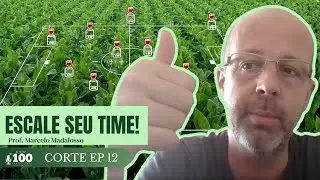 Como montar o Programa de Fungicidas na Soja? (A 
