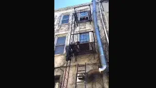 Fire escapes Painting House Queens             #Fireescapepaintingqueens #Fireescapepainting